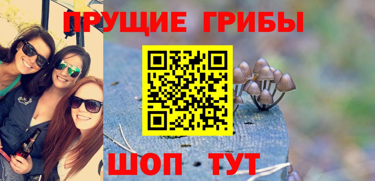Галлюциногенные грибы прущие грибы  Вход с VPN  Углич 