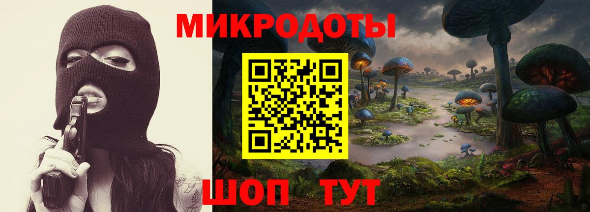 Галлюциногенные грибы Psilocybine cubensis Углич